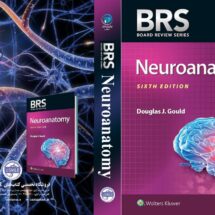 BRS Neuroanatomy (Board Review Series) 6th Edition (کیفیت چاپ سوپرپیکسل)