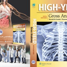 High-Yield Gross Anatomy (High-Yield Series) Fifth Edition (کیفیت چاپ سوپرپیکسل)