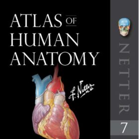 Atlas of Human Anatomy (Netter Basic Science) 7th Edition (کیفیت چاپ سوپرپیکسل)