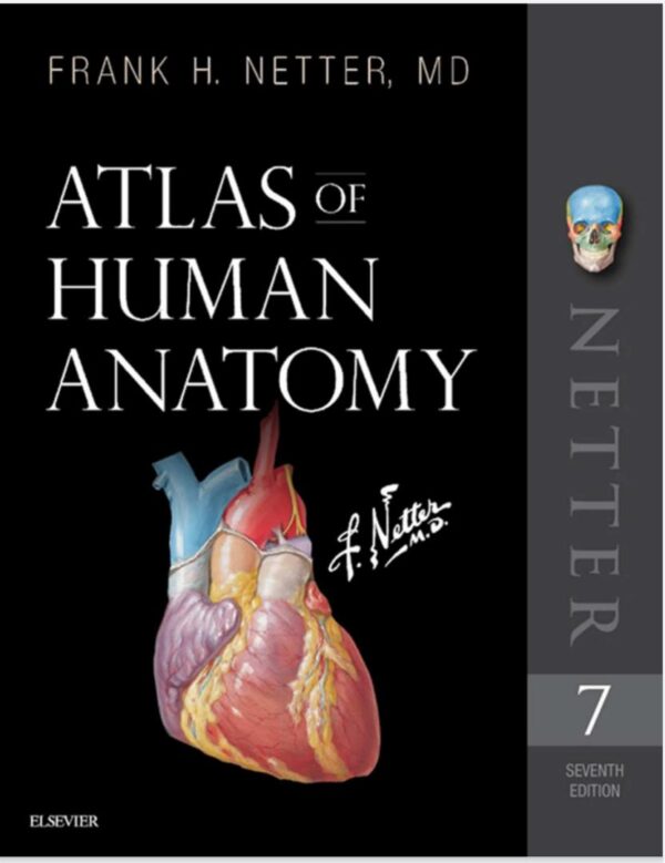 Atlas of Human Anatomy (Netter Basic Science) 7th Edition (کیفیت چاپ سوپرپیکسل)